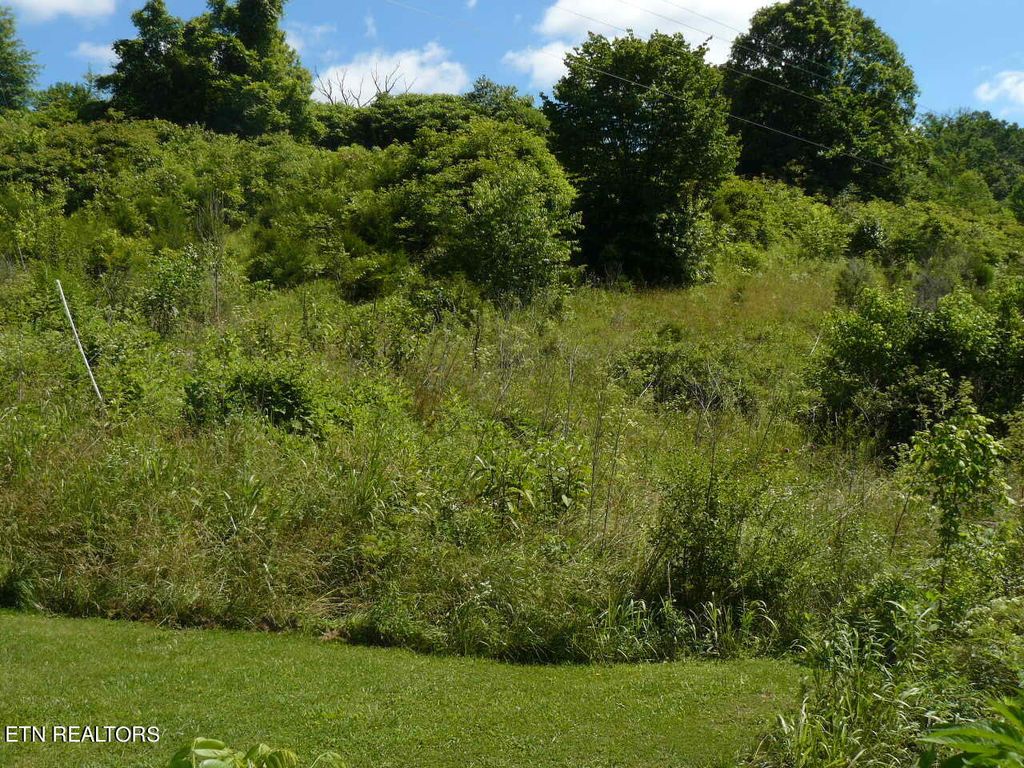 Photo of 734 Old Cave Springs Rd, Tazewell, TN 37879 (MLS # 1266368)