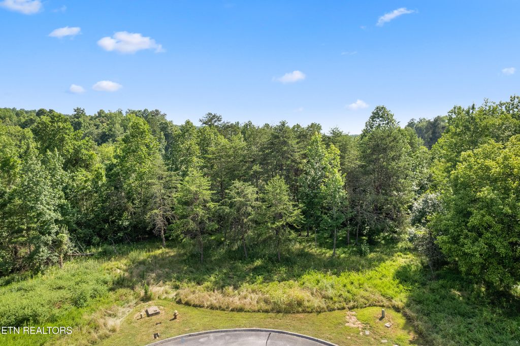 Photo of Lot 76 Creekside Drive, Harriman, TN 37748 (MLS # 1309967)