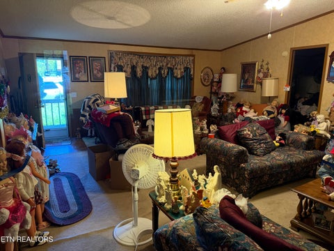 Tiny photo for 205 Hillcrest Ave, Rocky Top, TN 37769 (MLS # 1357496)