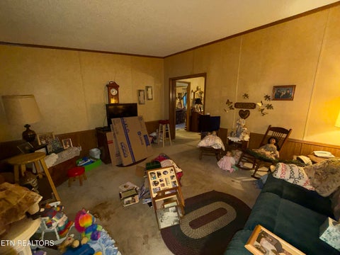 Tiny photo for 205 Hillcrest Ave, Rocky Top, TN 37769 (MLS # 1357496)