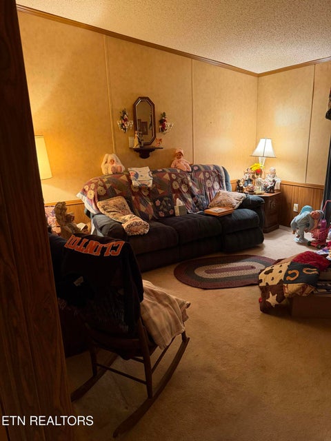 Tiny photo for 205 Hillcrest Ave, Rocky Top, TN 37769 (MLS # 1357496)