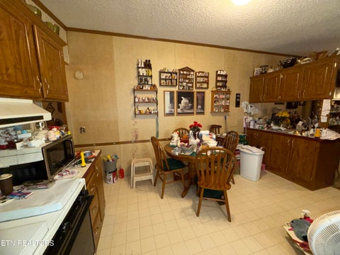 Tiny photo for 205 Hillcrest Ave, Rocky Top, TN 37769 (MLS # 1357496)