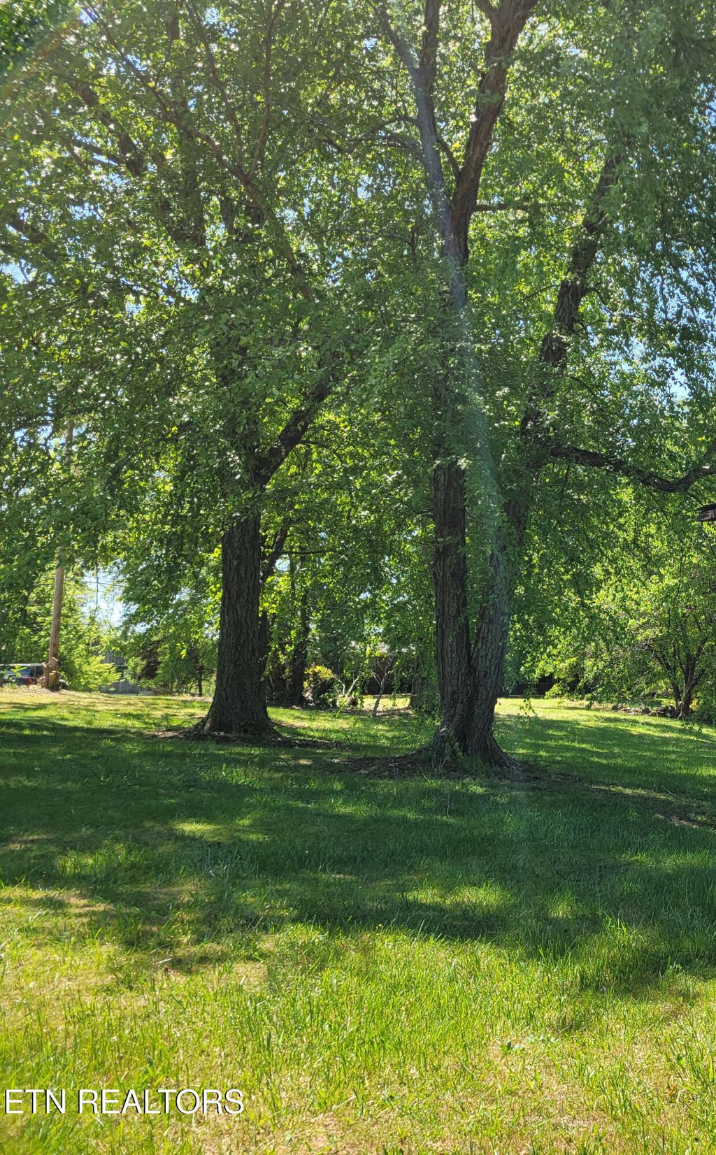 Photo of 790 County Rd, Etowah, TN 37331 (MLS # 1337996)