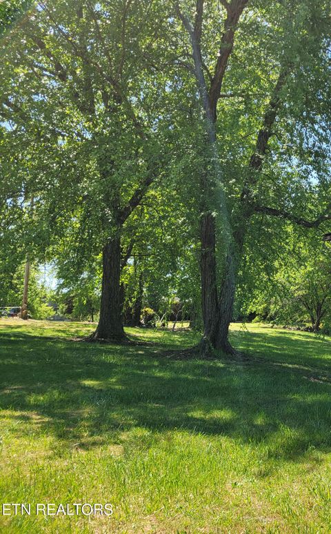 Tiny photo for 790 County Rd, Etowah, TN 37331 (MLS # 1337996)