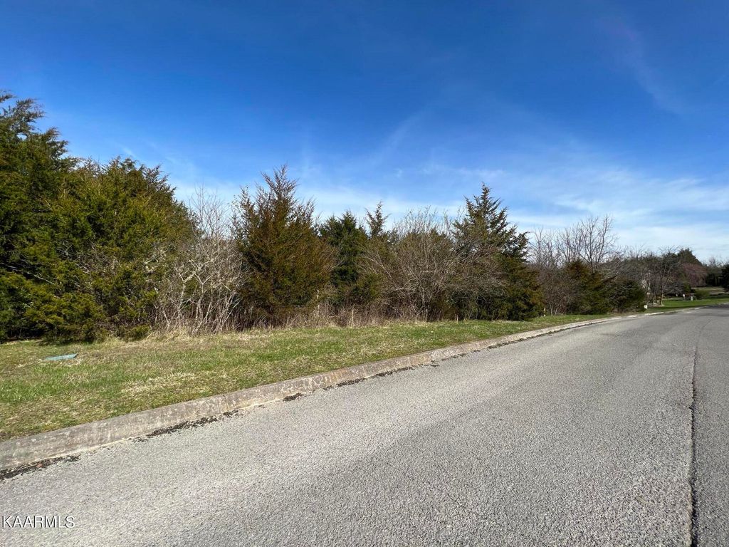 Photo of 486 Woodlake Blvd, Tazewell, TN 37879 (MLS # 1220256)