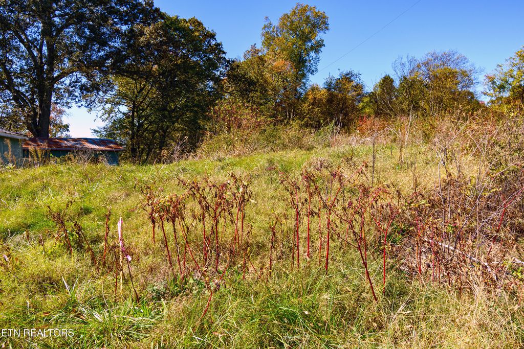 Photo of 2 Beard Rd, Strawberry Plains, TN 37871 (MLS # 1319986)