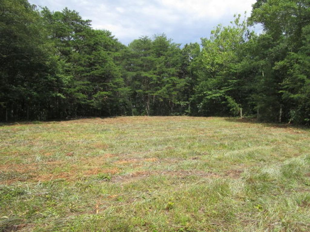 Photo of 2938 Highland Sprngs Rd, Blaine, TN 37709 (MLS # 1150786)