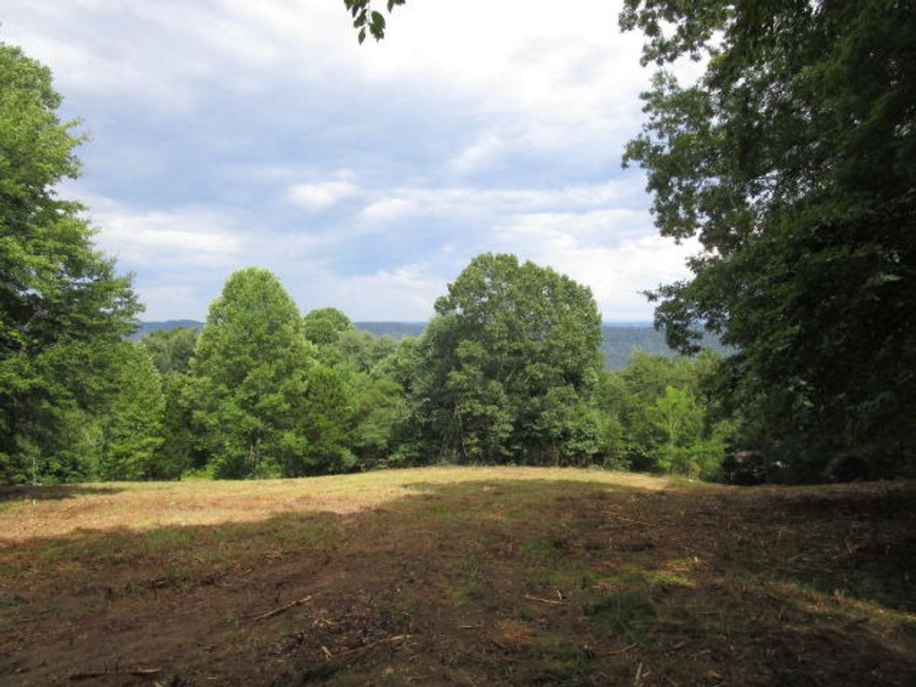 Photo of 2938 Highland Sprngs Rd, Blaine, TN 37709 (MLS # 1150786)