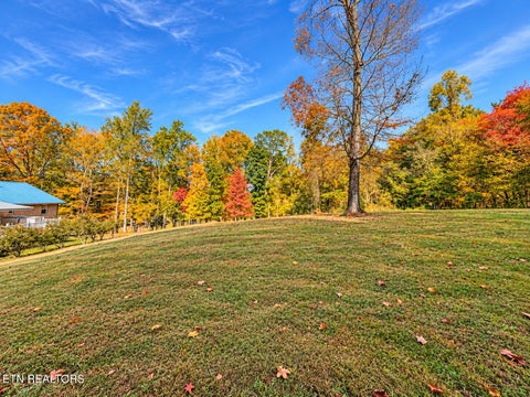 Tiny photo for 1069 Deerfield Rd, Rutledge, TN 37861 (MLS # 1360265)