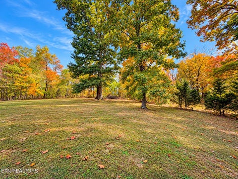 Tiny photo for 1069 Deerfield Rd, Rutledge, TN 37861 (MLS # 1360265)