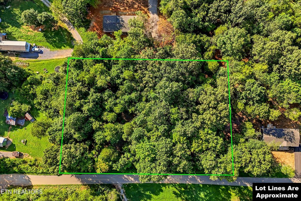 Photo of 161 Pinecrest Drive, Loudon, TN 37774 (MLS # 1350288)
