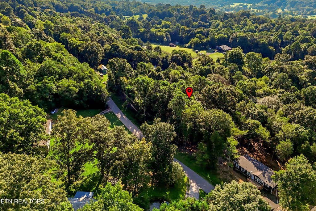 Photo of 161 Pinecrest Drive, Loudon, TN 37774 (MLS # 1350288)