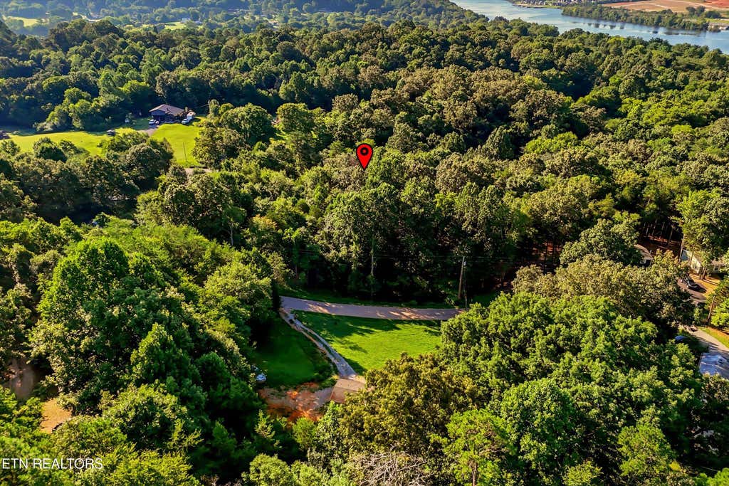 Photo of 161 Pinecrest Drive, Loudon, TN 37774 (MLS # 1350288)