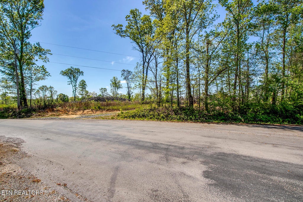 Photo of 171 Hornby Ferry Rd, Decatur, TN 37322 (MLS # 1335502)