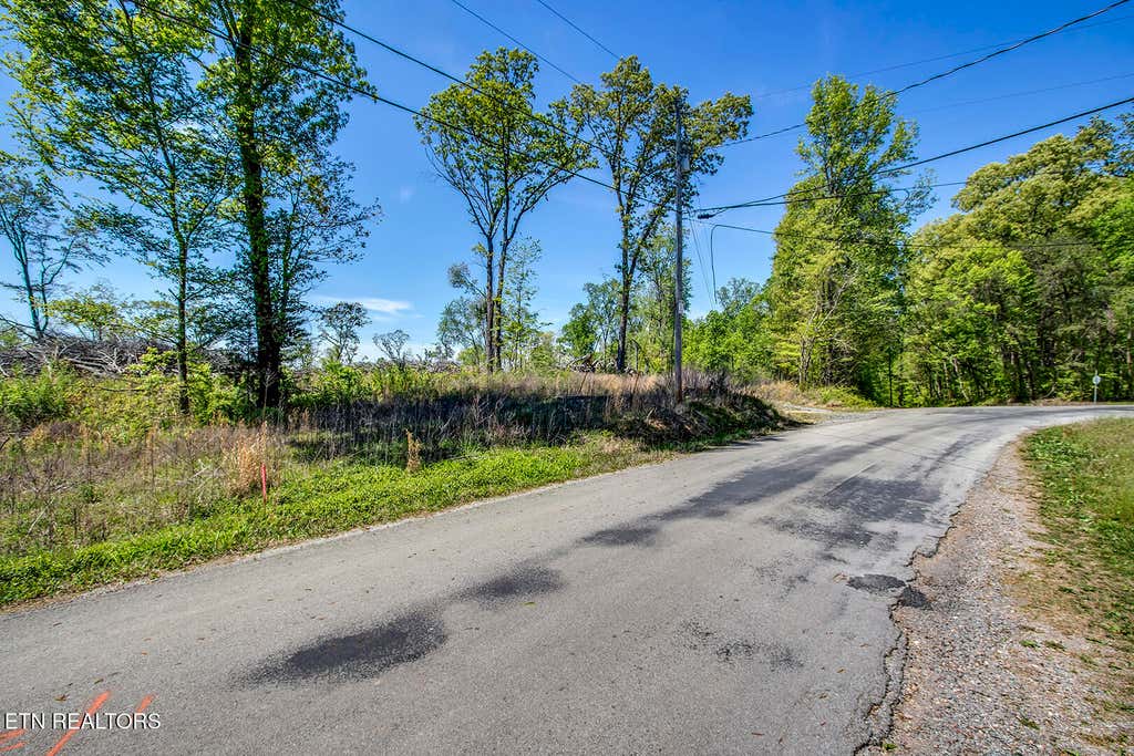 Photo of 171 Hornby Ferry Rd, Decatur, TN 37322 (MLS # 1335502)
