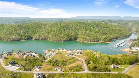 Tiny photo for Pinnacle Lane, LaFollette, TN 37766 (MLS # 1336999)