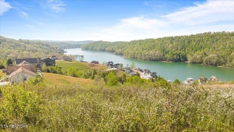 Tiny photo for Pinnacle Lane, LaFollette, TN 37766 (MLS # 1336999)