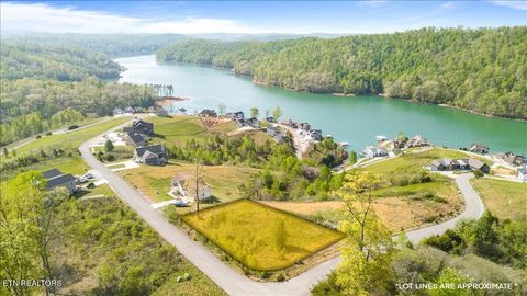 Tiny photo for Pinnacle Lane, LaFollette, TN 37766 (MLS # 1336999)