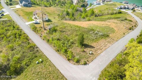 Tiny photo for Pinnacle Lane, LaFollette, TN 37766 (MLS # 1336999)
