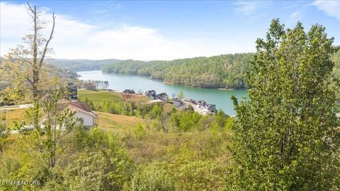 Tiny photo for Pinnacle Lane, LaFollette, TN 37766 (MLS # 1336999)