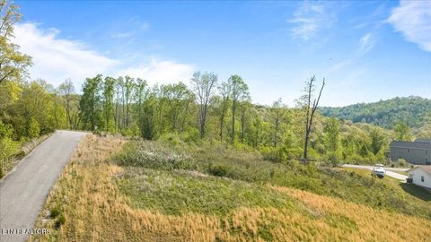 Tiny photo for Pinnacle Lane, LaFollette, TN 37766 (MLS # 1336999)