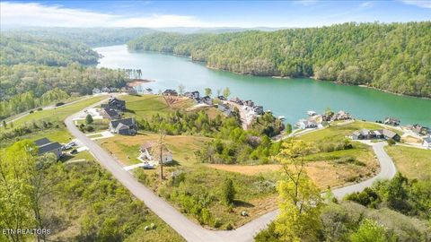 Tiny photo for Pinnacle Lane, LaFollette, TN 37766 (MLS # 1336999)