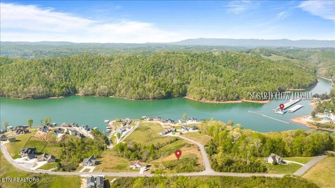 Tiny photo for Pinnacle Lane, LaFollette, TN 37766 (MLS # 1336999)