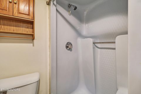 Tiny photo for 130 Shubert St, Kingston, TN 37763 (MLS # 1342488)
