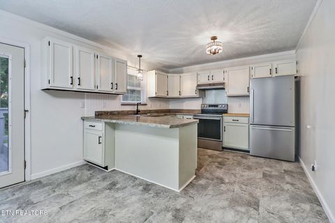 Tiny photo for 130 Shubert St, Kingston, TN 37763 (MLS # 1342488)