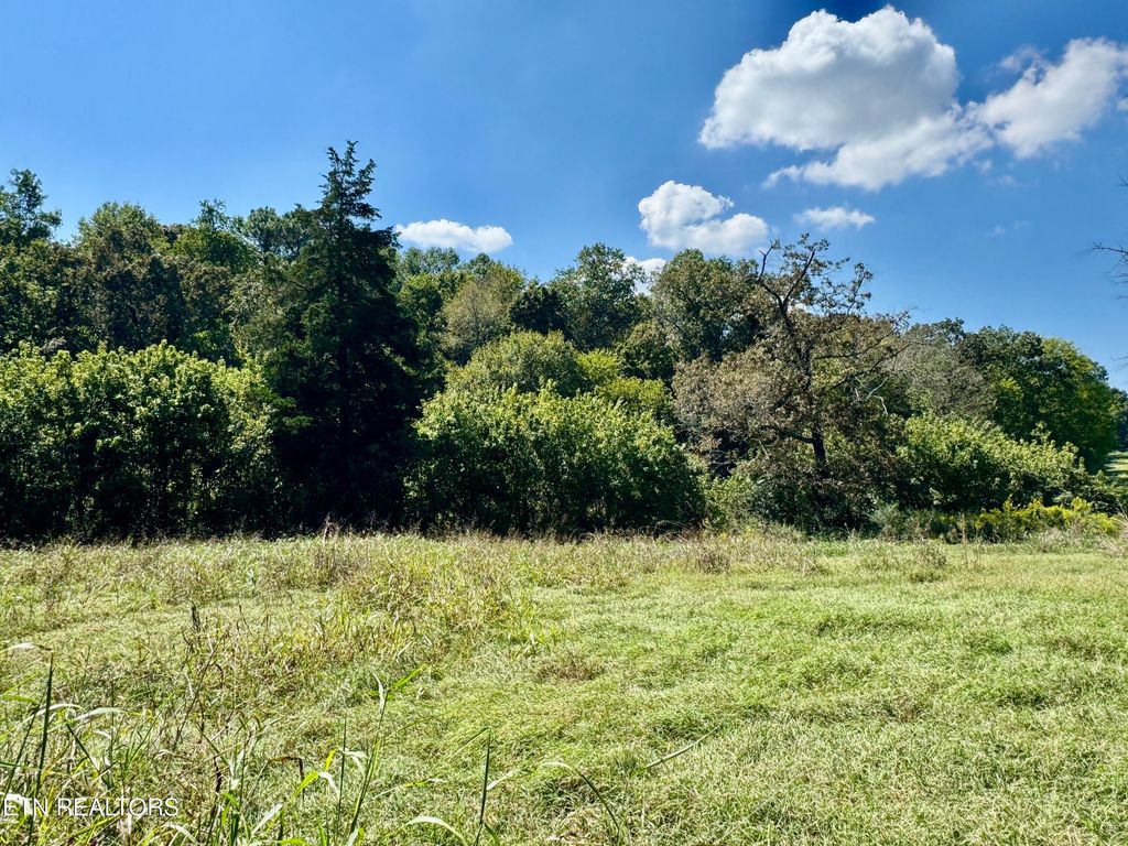 Photo of Randolph Fridley Rd, Sweetwater, TN 37874 (MLS # 1316559)