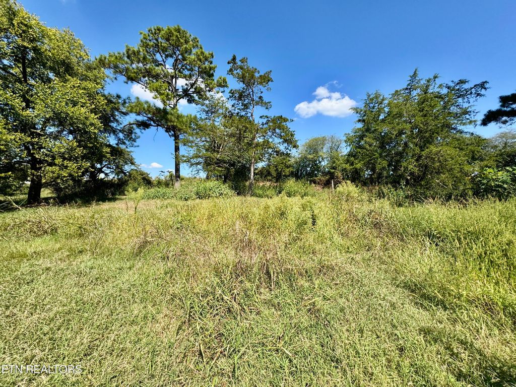 Photo of Randolph Fridley Rd, Sweetwater, TN 37874 (MLS # 1316559)
