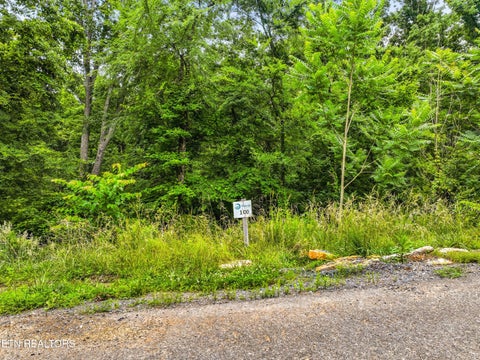 Tiny photo for 100 Ridgeline Tr, Dandridge, TN 37725 (MLS # 1343342)
