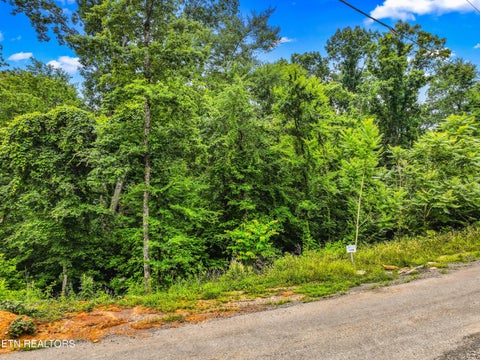 Tiny photo for 100 Ridgeline Tr, Dandridge, TN 37725 (MLS # 1343342)