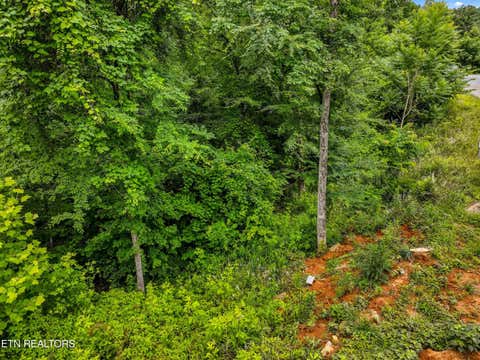 Tiny photo for 100 Ridgeline Tr, Dandridge, TN 37725 (MLS # 1343342)