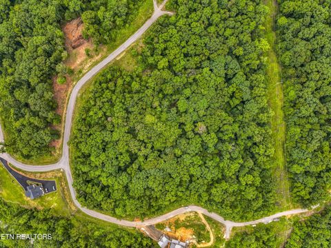 Tiny photo for 100 Ridgeline Tr, Dandridge, TN 37725 (MLS # 1343342)