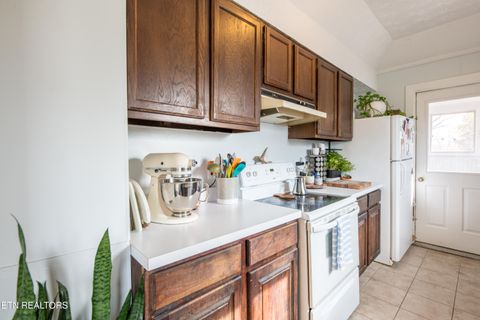 Tiny photo for 424 E Scott Ave, Knoxville, TN 37917 (MLS # 1295353)
