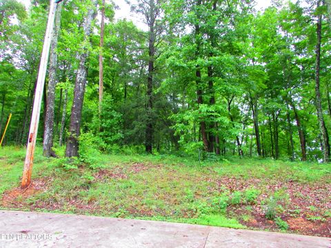 Tiny photo for Pinnacle Pointe Way, Sharps Chapel, TN 37866 (MLS # 1330771)