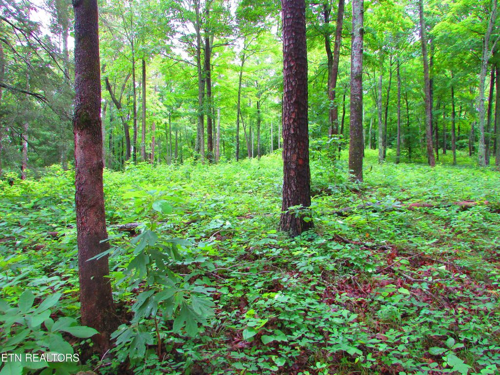 Photo of Pinnacle Pointe Way, Sharps Chapel, TN 37866 (MLS # 1330771)