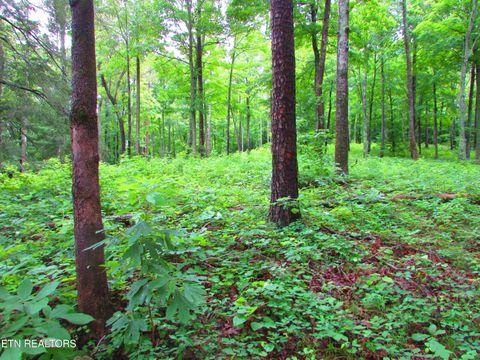 Tiny photo for Pinnacle Pointe Way, Sharps Chapel, TN 37866 (MLS # 1330771)