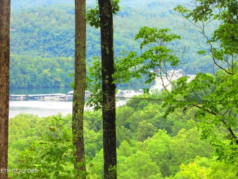 Tiny photo for Pinnacle Pointe Way, Sharps Chapel, TN 37866 (MLS # 1330771)