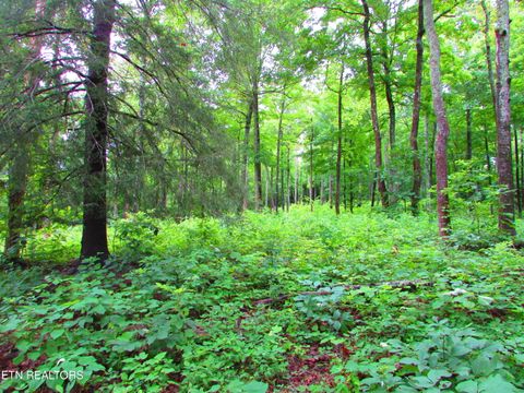 Tiny photo for Pinnacle Pointe Way, Sharps Chapel, TN 37866 (MLS # 1330771)