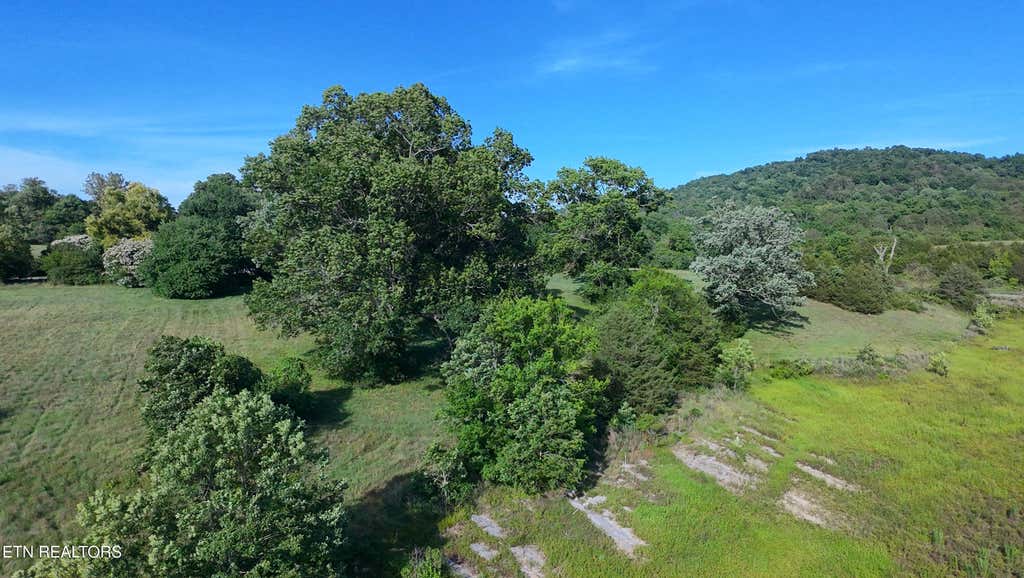 Photo of Big Valley Rd, Sharps Chapel, TN 37866 (MLS # 1345425)