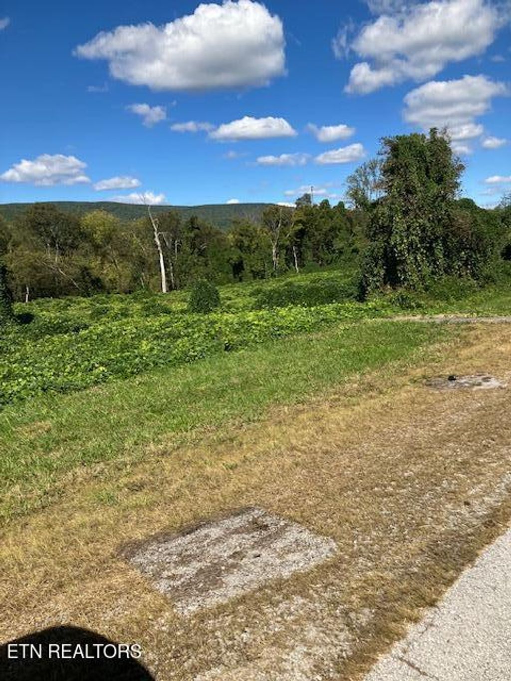 Photo of 0 Rhea County Hwy / Hwy 27, Spring City, TN 37381 (MLS # 1283020)