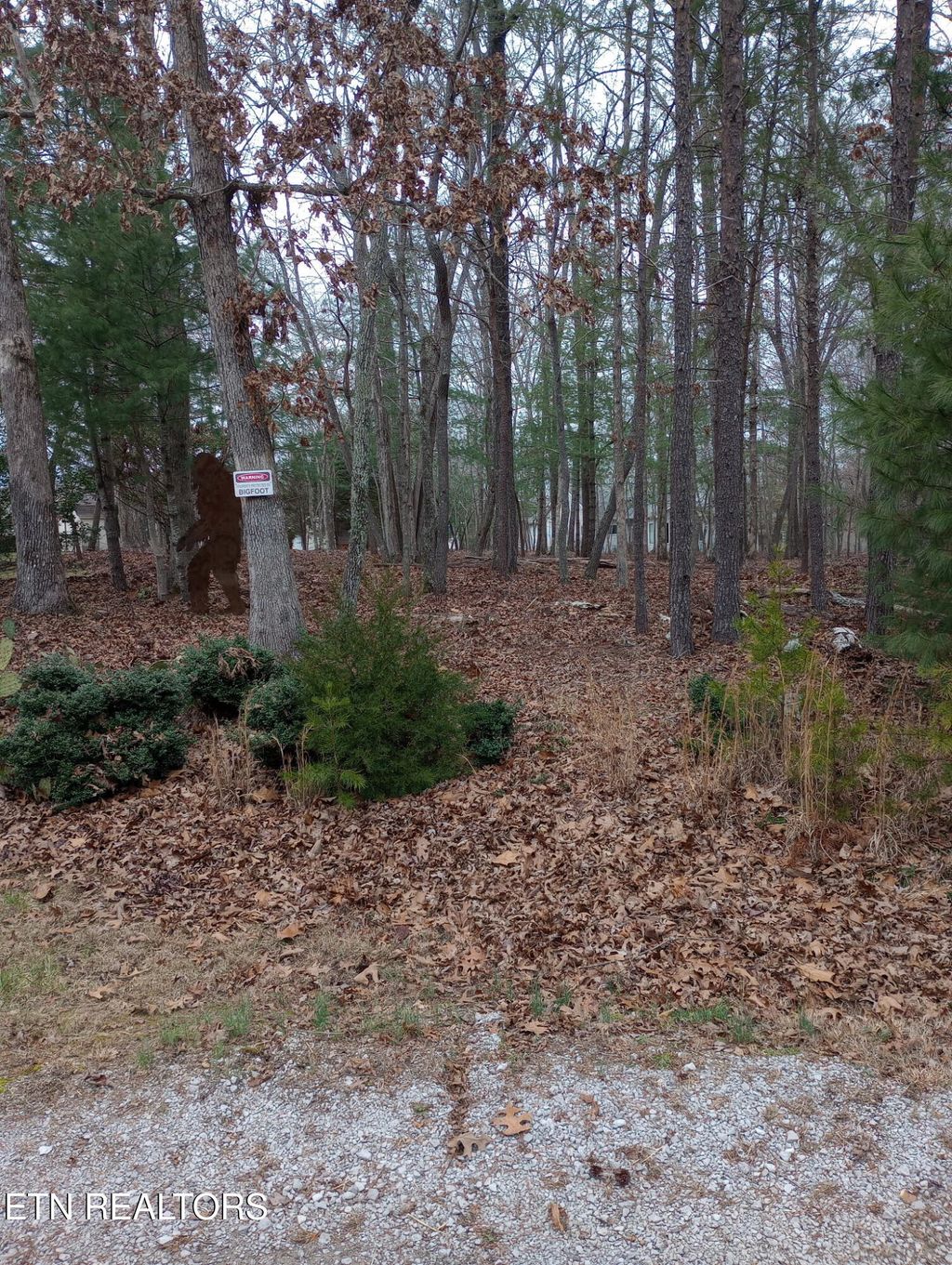 Photo of 23 Lechmere Terrace, Crossville, TN 38558 (MLS # 1331649)