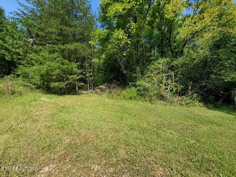 Photo of Black Oak Ridge Rd, Dayton, TN 37321 (MLS # 1352024)