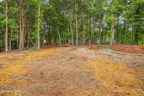 Tiny photo for 310 Valley Drive, Loudon, TN 37774 (MLS # 1349083)