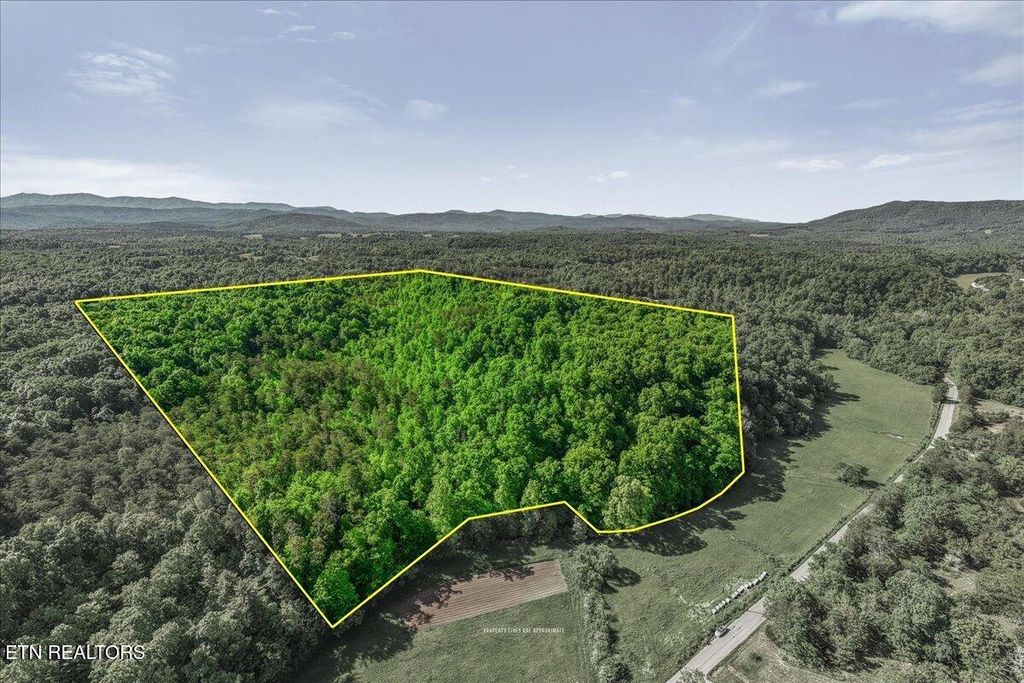Photo of Shadden Road, Tellico Plains, TN 37385 (MLS # 1339515)