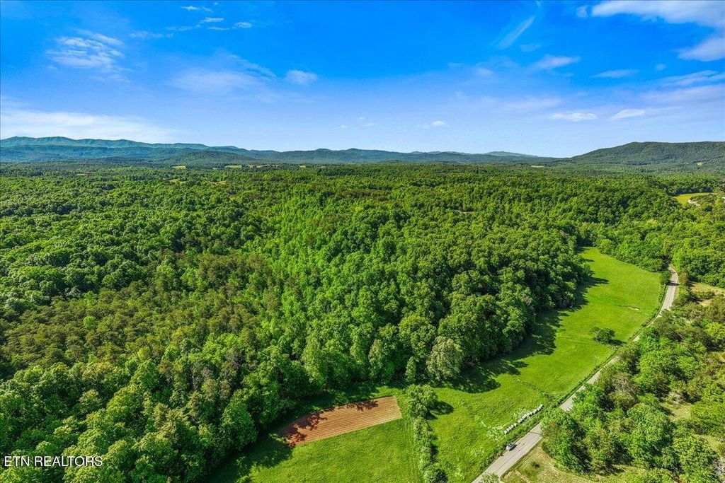 Photo of Shadden Road, Tellico Plains, TN 37385 (MLS # 1339515)