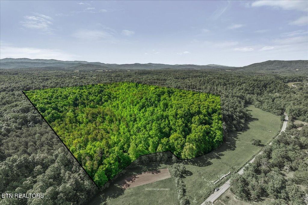 Photo of Shadden Road, Tellico Plains, TN 37385 (MLS # 1339515)