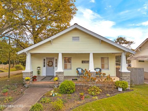 Photo of 1130 Raleigh Ave, Knoxville, TN 37917 (MLS # 1319162)